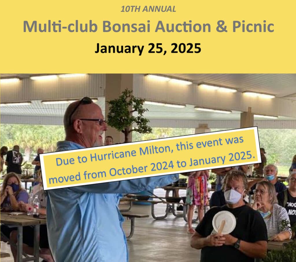 10th-annual-multiclub-bonsai-auction-featured_image