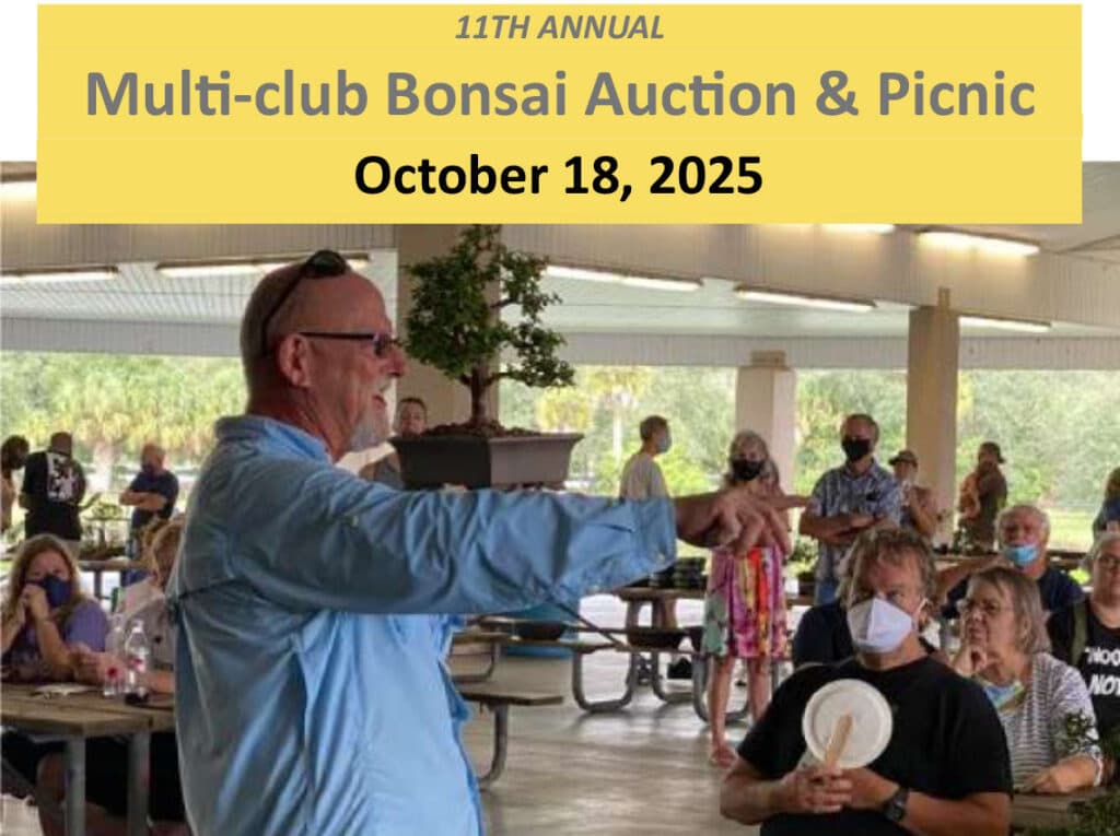 11th-Annual-Bonsai-Auction-bsob-featured_image