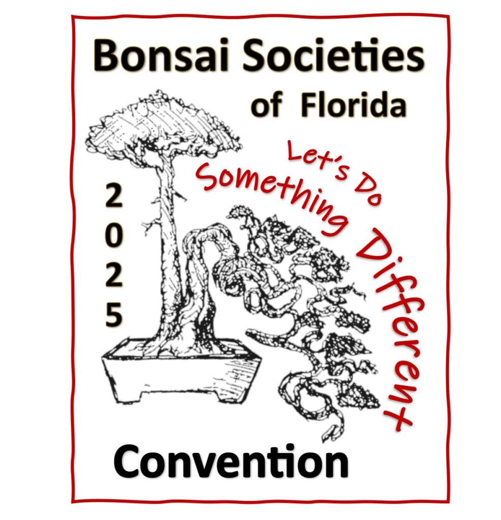 2025 BSF Convention Logo