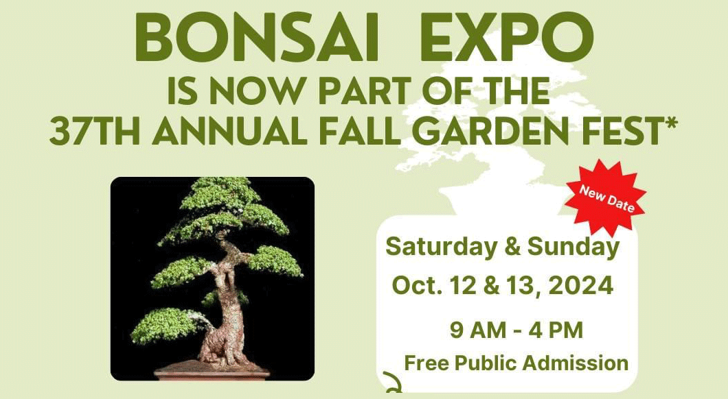 Bonsai-Expo-Heathcote-featured