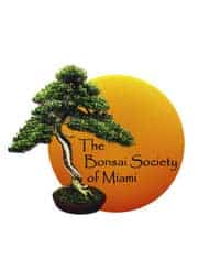 Bonsai-Society-of-miami