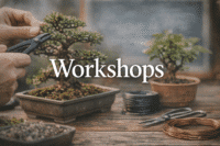 Workshops