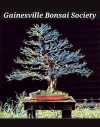 Gainesville-Bonsai-Society