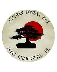 Ichiban-bonsai-kai