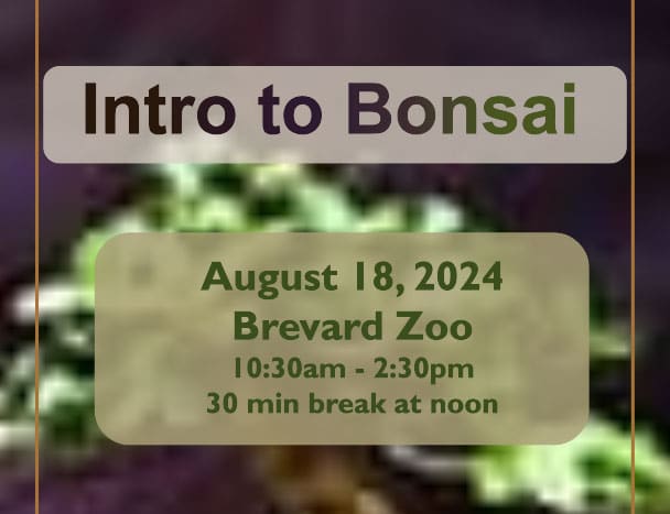 Introduction-to-Bonsai-Class-Flyer-2024-featured