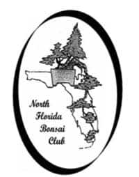 North-florida-bonsai-club