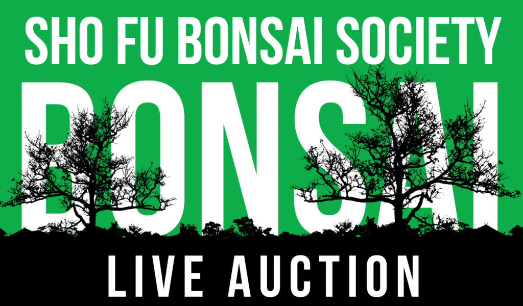 Shofu-bonsai-society-auction