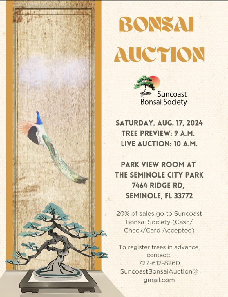 Suncoast-bonsai-auction-aug2024