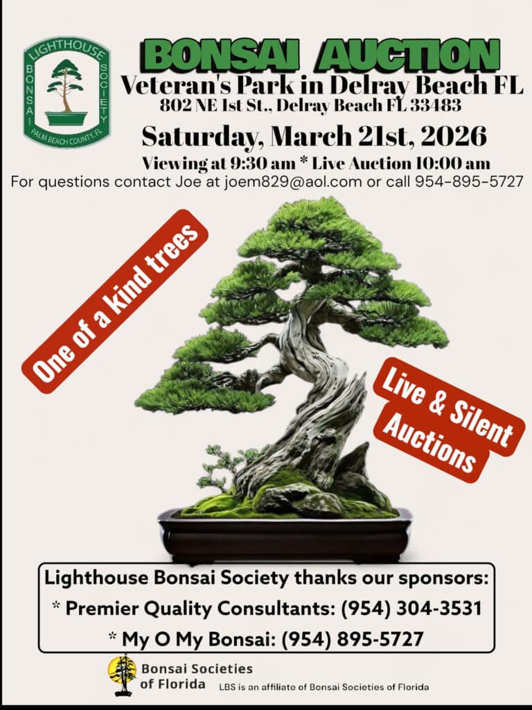bonsai-auction-del_ray_beach-2026