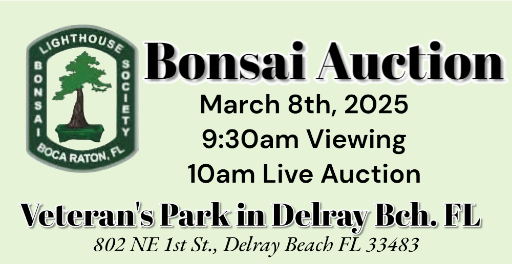 bonsai-auction-lighthouse-2025-featured