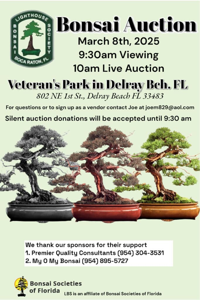 bonsai-auction-lighthouse-flyer