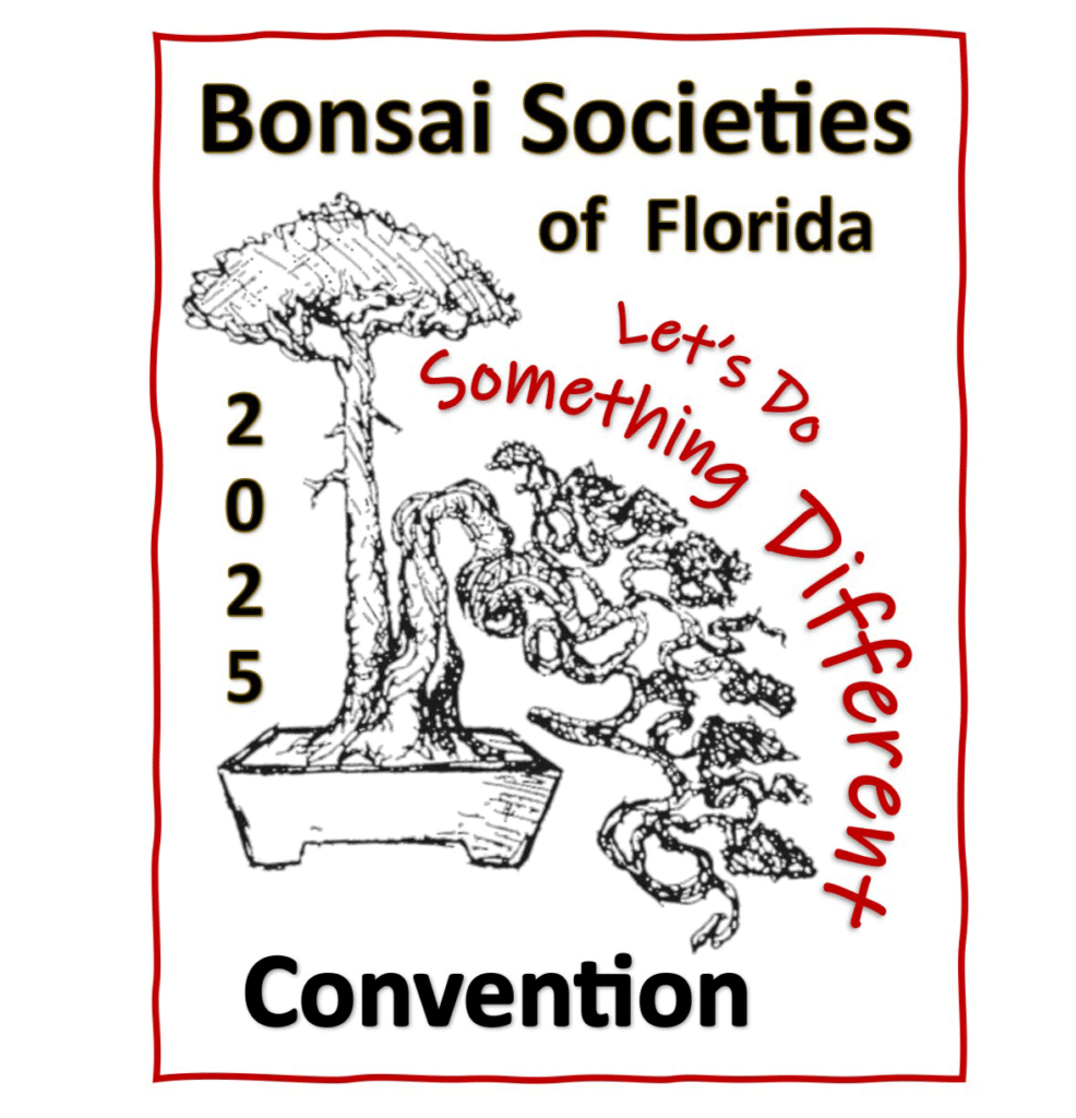 bonsai-bsf-2025_logo