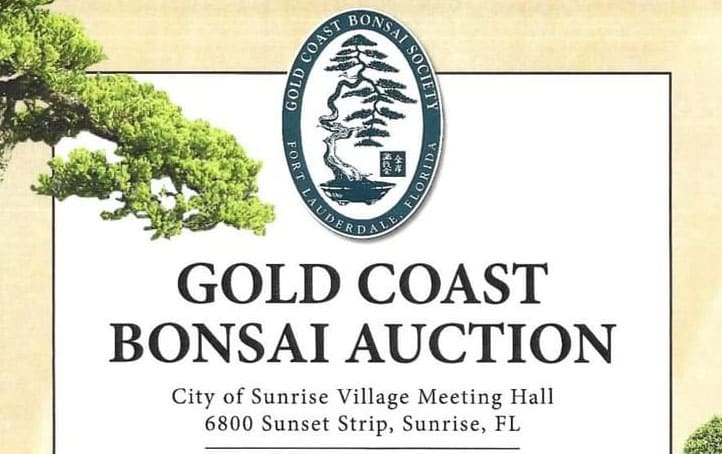 bonsai-bsf-gold-coast-auction-featured_image