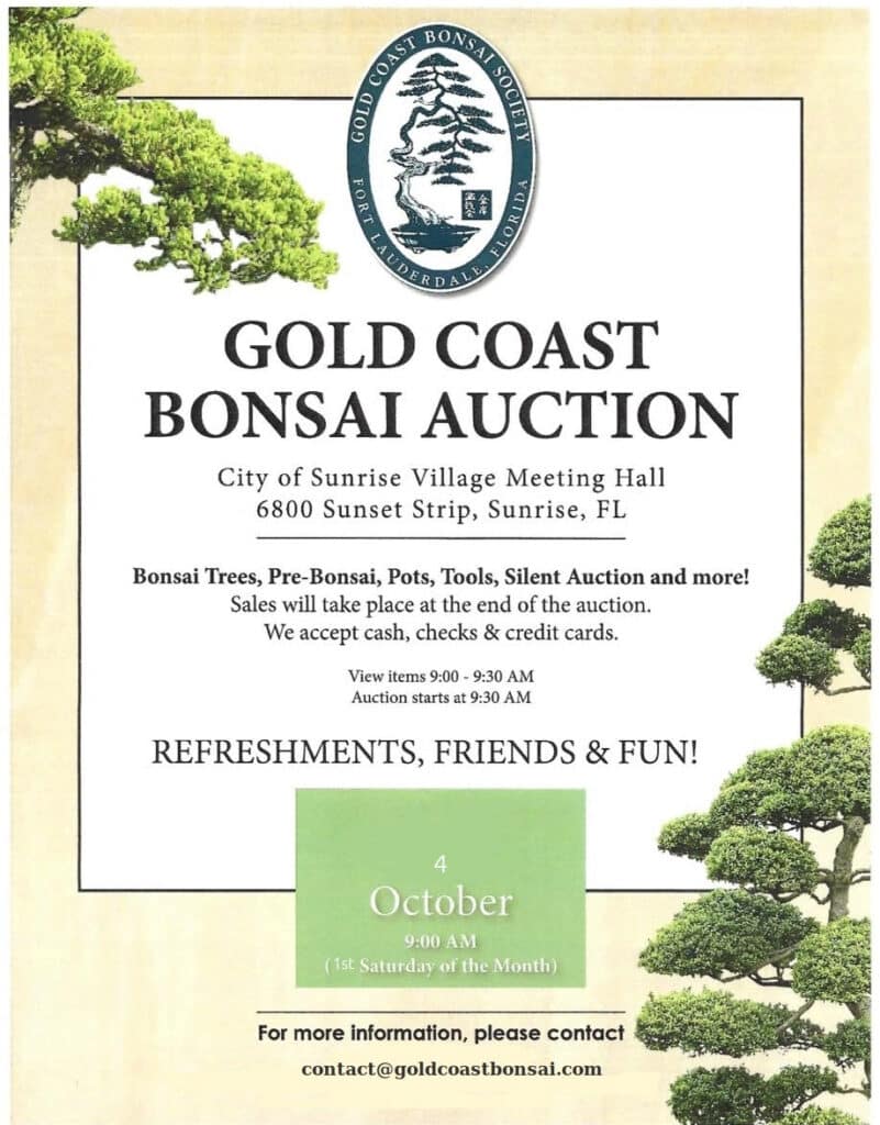 bonsai-bsf-gold-coast-auction-flyer