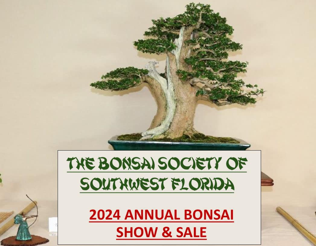 bonsai-bssf-2024-Show-Flyer-featured_image