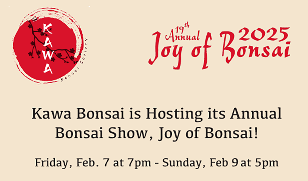 bonsaibf-kawa_bonsai-show