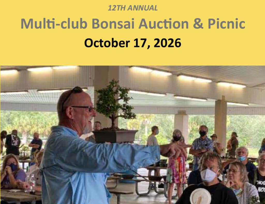 bonsaibsf-Auction_Flyer_2026_featured