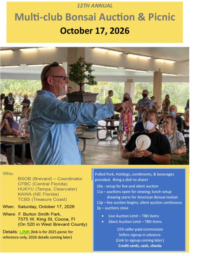bonsaibsf-Auction_Flyer_2026_v1