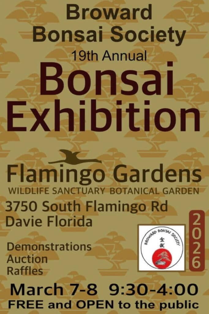 broward-bonsai-exhibition