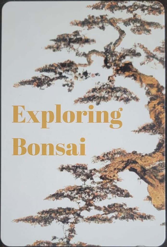 exploring-bonsai-image