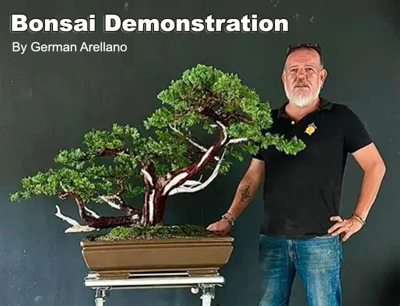 german-arellano-featured_image