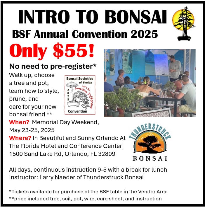 intro-to-bonsai-workshop-2025