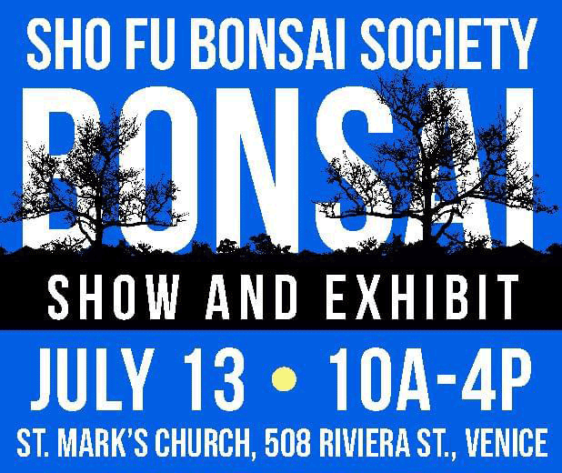 sho-fu-bonsai-show-exhibit-july2024-featured