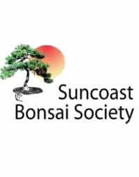 suncoast-bonsai-society