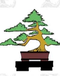 tresure-bonsai-society