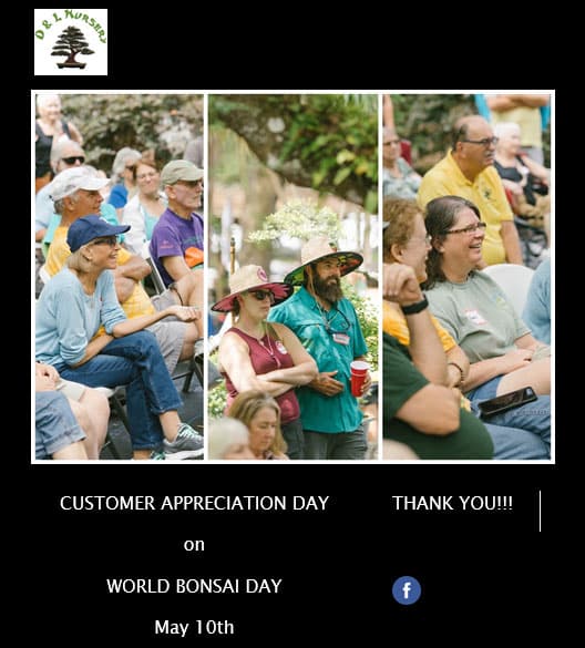 world-bonsai-day-customer-appreciation-flyer